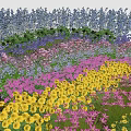 Vibrant Mixed Garden Flowers With Yellow Pink Purple Blue Blooms And Green Foliage