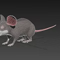 3D Rendered Mouse With Gray Body Large Pink Ears White Belly Whiskers And Black Background