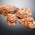 Natural Wood Stone Decorative Blocks With Rough Surface And Red Brown Color