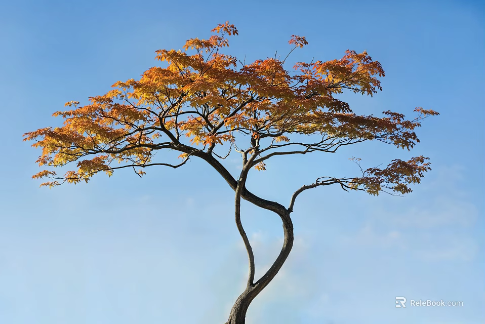 Curved Trunk Tree With Orange Red Leaves Against Blue Sky Background 3d model 