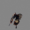 Modern Butterfly Butterfly Animation 3d model