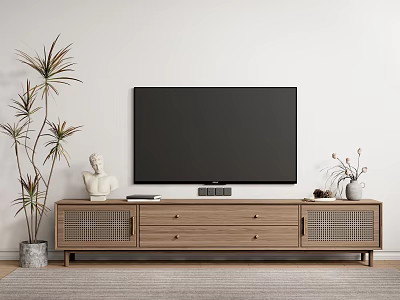 Modern Wooden TV Stand with TV Plant Statue and Vase in Living Room 3d model