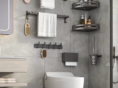 Bathroom Accessories Including Towel Rack Hooks Shelves Toilet Paper Holder and Brush Holder 3d model