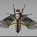 Detailed 3D Rendered Moth With Skull Pattern On Back And Vibrant Wing Patterns