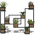 Modern Garden Decor With Geometric Black Shelves And Potted Green Plants
