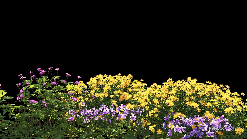 Vibrant Yellow and Purple Flowers Blooming Densely with Green Leaves Against Black Background 3d model 