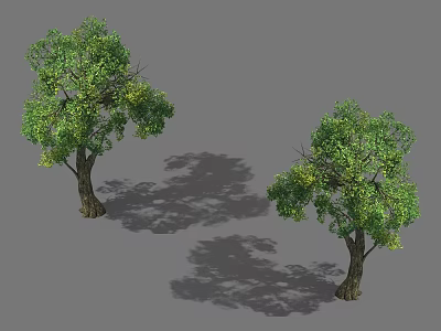Lush Green Arbor Trees With Thick Trunks And Dense Foliage Cast Shadows On Gray Background 3d model