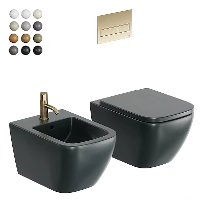 Modern Black Toilet And Bidet With Gold Faucet And Multiple Color Options 3d model