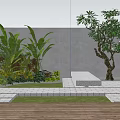 Lush Shrubs in Modern Garden with Bench Tropical Plants and White Wall