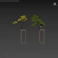 Two Decorative Indoor Bonsai Plants With Lush Foliage On Wooden Stands