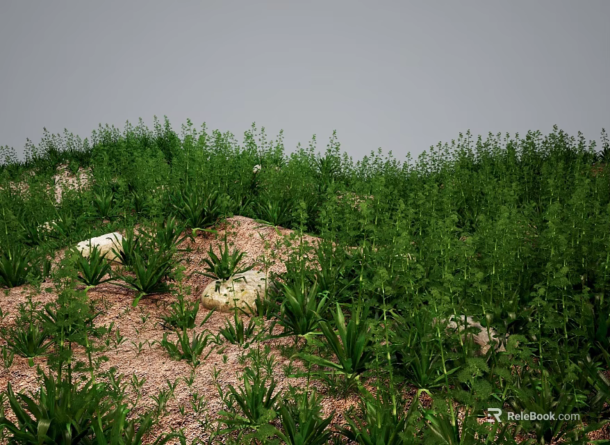 Lush Green Plants And Herbs Growing Naturally In Grassland With Exposed Soil And Stones 3d model 