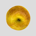 Fresh Ripe Yellow and Red Striped Apple with Smooth Skin on Grey Background