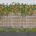 Vines With Yellow Flowers Growing On Wooden Fence Surrounded By Purple Flowers And Green Plants