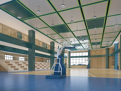 Modern Basketball Hall Primary School Indoor Basketball Hall 3d model