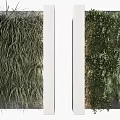 Indoor Living Plant Wall Design With Various Green Plant Species And White Frames