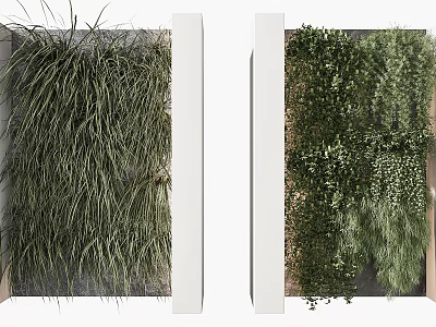 Indoor Living Plant Wall Design With Various Green Plant Species And White Frames 3d model