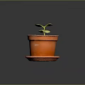 Young Green Seedling Growing in Terracotta Pot with Saucer on Dark Surface