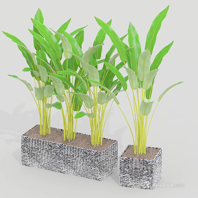 Leafy Green Plants In Square Woven Texture Planters For Indoor Decoration 3d model 