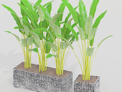 Leafy Green Plants In Square Woven Texture Planters For Indoor Decoration 3d model