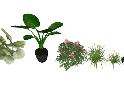 Decorative Bonsai Potted Plants With Large Green Leaves Pink Flowers And Grassy Foliage 3d model