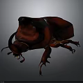 Red Beetle With Large Horned Head And Shiny Body On Dark Background