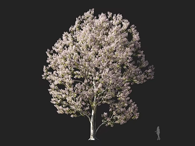 Lush Pink Blossom Arbor With Full Canopy And Human Figure For Scale 3d model