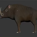 Realistic 3D Render of Wild Animal With Brown Fur Long Snout and Tusks