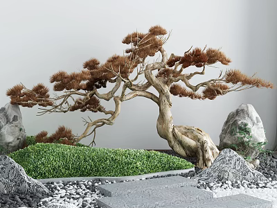 Garden Ornamental Landscape Featuring Shaped Pine Tree Rocks And Lush Grass 3d model