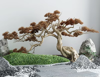 New Chinese Gardening Setches Garden Pine Garden rockery trees 3d model