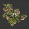Modern Rock Garden Landscape With Various Plants And Green Mossy Stones