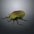 Close Up View Of Green Brown Beetle With Shiny Exoskeleton And Detailed Legs