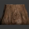 Natural Style Building Interior With Wooden Tree Stump Stool And Grain Details