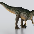 Realistic Large Dinosaur Model With Green Yellow Skin Open Mouth And Sharp Claws