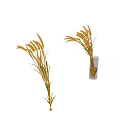 Dried Wheat Grass Flower Bouquets In Transparent Glass Vase And Loose Placement