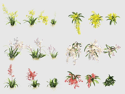 Colorful Flowers And Plants With Yellow White Pink Blooms And Green Leaves 3d model