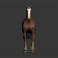 Realistic Brown Horse Figure With White Blaze Standing On Dark Surface