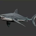 Realistic 3D Blue Shark Aquatic Animal With Sharp Teeth And Detailed Fins