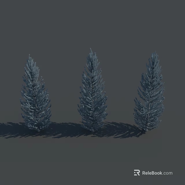 Three Blue Tall Pine Trees Standing Against Gray Background And Shadows 3d model