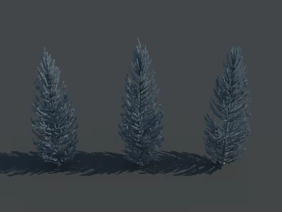 Three Blue Tall Pine Trees Standing Against Gray Background And Shadows 3d model
