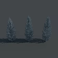 Three Blue Tall Pine Trees Standing Against Gray Background And Shadows 3d model