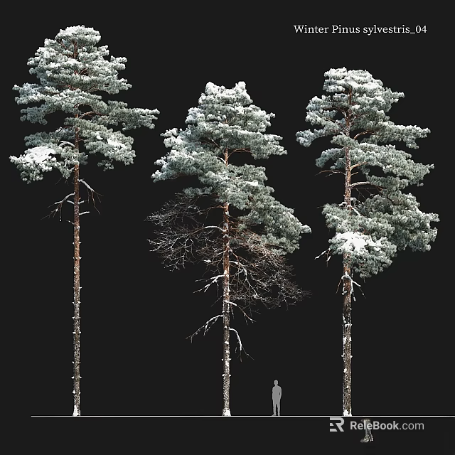 Snow Covered Three Pine Trees Decorative Ornament Set With Black Background 3d model 