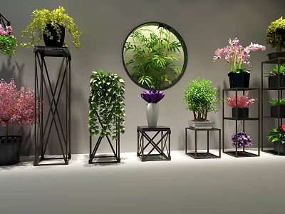 Various Potted Green Plants and Pink Flowers on Metal Stands with Round Mirror Background 3d model