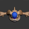 3D Cartoon Dog Wearing Blue Baseball Uniform B Cap 67 White Shorts And Blue Shoes