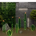 Garden Decorations With Glowing Cacti Green Wall Gray Stone Wall Small Trees And Stones