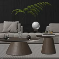 Modern Living Room Interior With Wooden Tea Tables Teapot Glass White Sofa And Green Plant