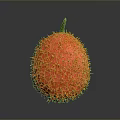 Vibrant Red Spiky Tropical Fruit With Fresh Glossy Surface And Green Stem