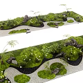 Lush Green Plants and Moss in Natural Garden Landscape with Stones and Paths