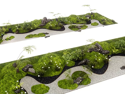 Lush Green Plants and Moss in Natural Garden Landscape with Stones and Paths 3d model