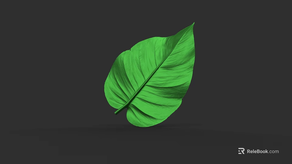 Vibrant Large Green Tropical Leaf With Detailed Texture On Dark Background 3d model 