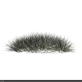 Four Lush Green Grass Clumps on White Background with Natural Texture